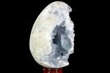 Crystal Filled Celestine (Celestite) Egg Geode - Huge Crystal! #88285-1